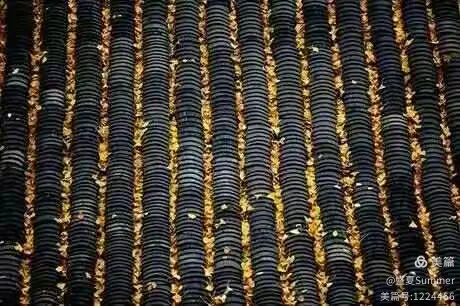 旧物新用,别看它是一片瓦!